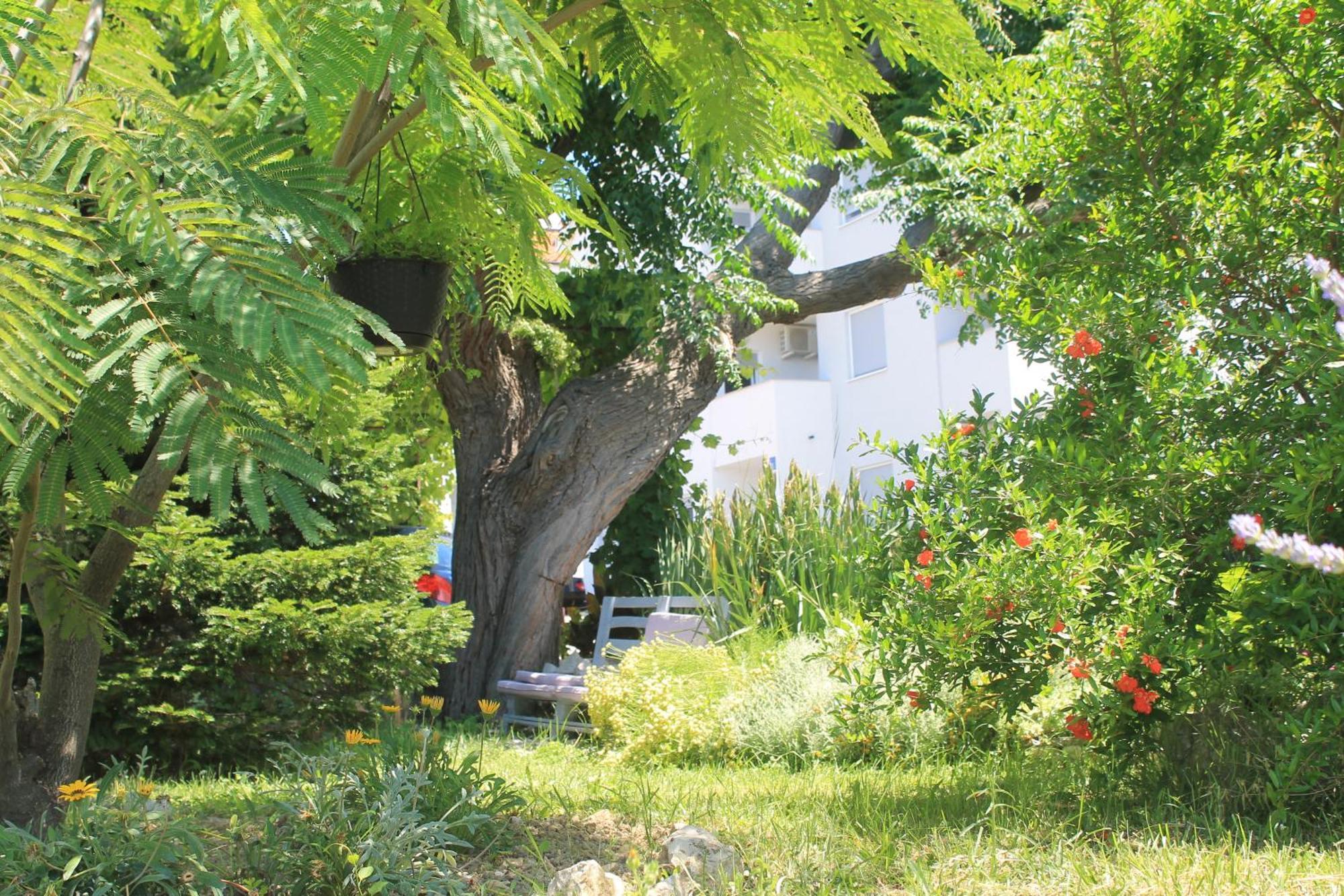 Apartments 501 - Spacious And Bright Apartment On Island Of Rab Rab Town Exterior photo