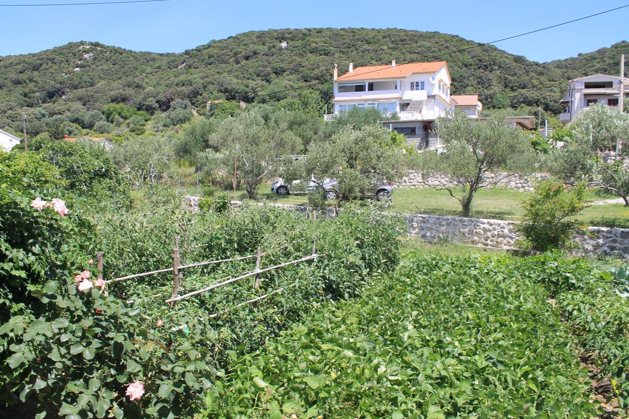 Apartments 501 - Spacious And Bright Apartment On Island Of Rab Rab Town Exterior photo