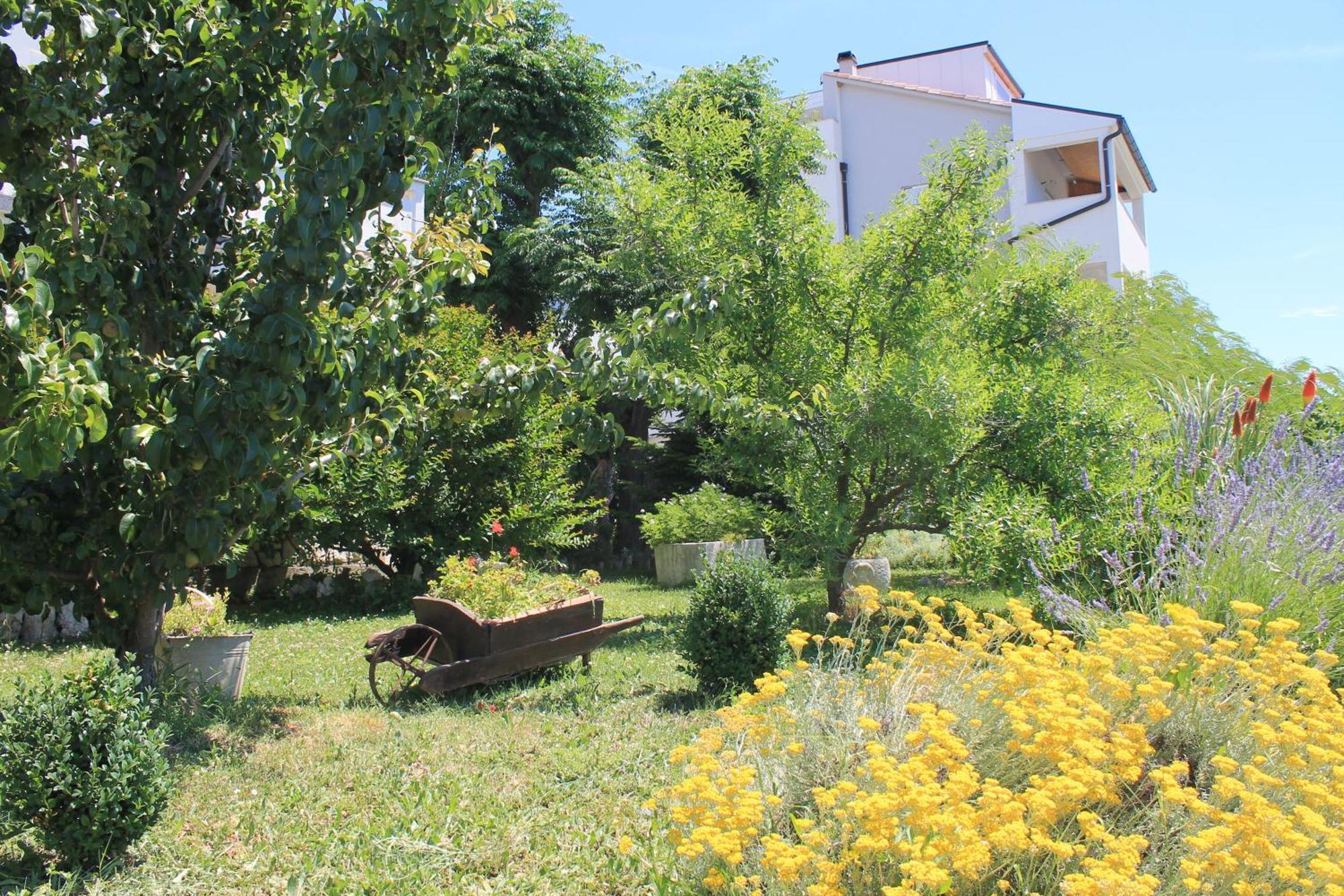 Apartments 501 - Spacious And Bright Apartment On Island Of Rab Rab Town Exterior photo